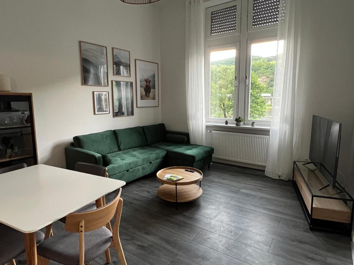 Direkter Moselblick I Altbau I 4 Personen I Terrasse Apartment Sankt Aldegund Luaran gambar