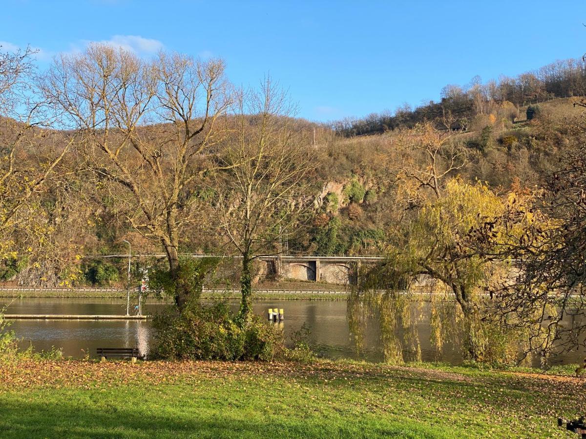 Direkter Moselblick I Altbau I 4 Personen I Terrasse Apartment Sankt Aldegund Luaran gambar